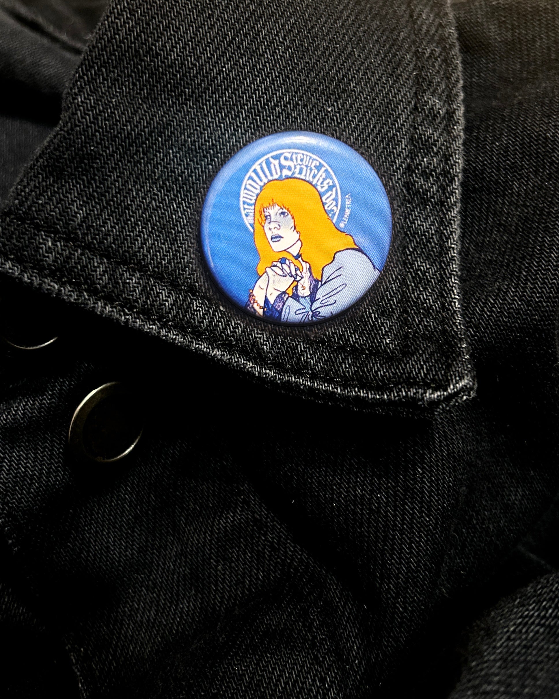 WWSND? | STEVIE NICKS | BUTTON BADGE